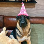 Luna - @lunalowegood44 - Instagram