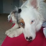 Luna Balloona Lyons - @loonberger - Instagram