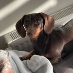 Luna Lyons - @lunalyons2022 - Instagram