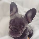 Luna Lyons - @luna.lyons - Instagram