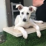 Luna Lyons Eckl - @luna.le - Instagram