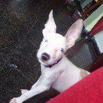 luna Lyons Lopez - @lunita251230 - Instagram