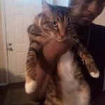 LunaLyons - @lunalyons51 - Instagram