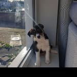 Luna Malone - @life.of.luna.21 - Instagram