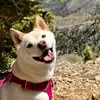 Luna - @lunamatata18 - TikTok
