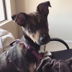 LT Luna - @_luna_mcbride_ - Instagram
