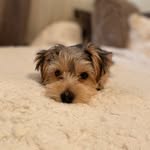 Luna Mclean - @lunamclean2020 - Instagram