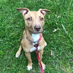 luna mclean - @lunadafavdawg - Instagram