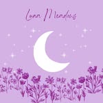 Luna Meadows - @lunameadows_ - Instagram