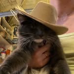 Luna Meadows - @lunadamoonkitty - Instagram