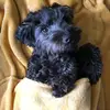 LadyLuna - @lunamoore2019 - TikTok