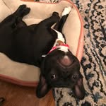 Luna Moore - @little_luna_nyc - Instagram