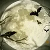 Luna Moretti - @luna.moretti78 - TikTok