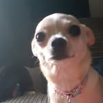 luna - @luna_morrison123 - Instagram