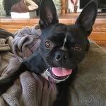 luna morrison - @luna_the_bug1 - Instagram
