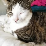 Luna Moss - @moonfish_666 - Instagram