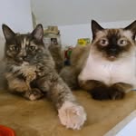 Luna & Murphy - @lunamurphy2022 - Instagram