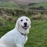 Luna Murphy - @diamond_lm_sparkle - Instagram