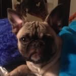 Luna Murray - @luna_murray - Instagram