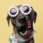 Luna Murray - @luna_tic_murray - Instagram