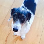 Luna Murray - @luna_is_aweasome - Instagram