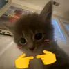 Luna_Patel2 - @luna_patel2 - TikTok