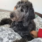 Luna Patel - Facebook