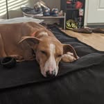 Luna Patel - @luna_the_kuta - Instagram