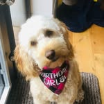 Luna Patton - @lun_atic2021 - Instagram
