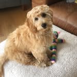 Luna Patton - @lunstagram2021 - Instagram