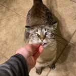 Luna Perry - @baby_luna05 - Instagram