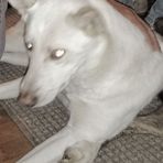 Luna Pierce - Facebook