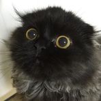 Luna Pierce - Facebook