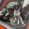 Luna - @lunathegermanpointer - TikTok