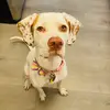 Luna - @pointerluna - TikTok