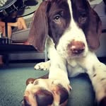 @lunapointer - Instagram