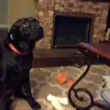 Me and James - @lunathepointer - TikTok