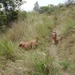 pointer y luna - @pointeryluna - Instagram
