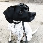 PointerLuna - @pointerluna - Instagram