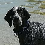 pointerluna - @pointer.luna - Instagram