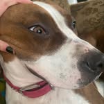 Luna Pollard - @luna_hustlin - Instagram