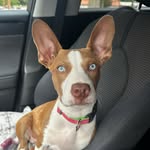 Luna Porter - @luna_bear_porter - Instagram