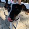 Luna Porter 🐾 - @luna.porter - TikTok