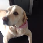 Luna ( Familia Ramos - @lunaramos10 - Instagram