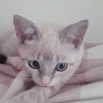 Luna Ramos - @lunaramossss - Instagram