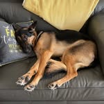 @luna_reed1 - Instagram