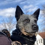 Luna Reed - @thelunareed - Instagram