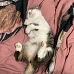 Luna Babalush Richards - Facebook