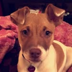 Luna Robinson - @miss.luna.robinson - Instagram