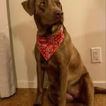 Luna - @lunarobles___ - Instagram